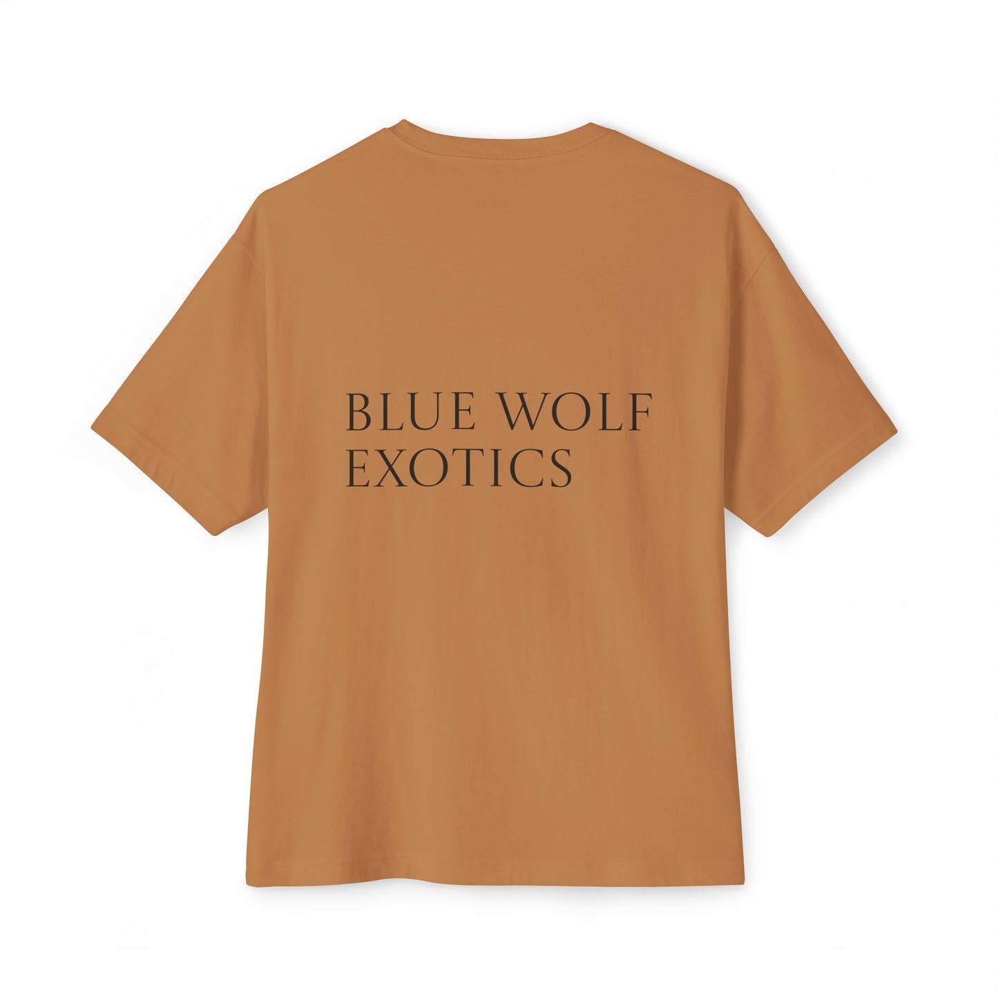 Sparky's Adventures Light Colors Unisex Oversized Boxy Tee