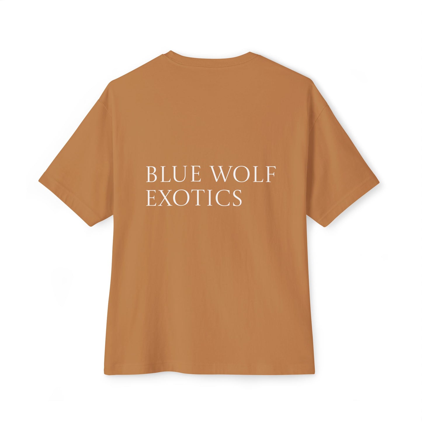 Sparky's Adventures Dark Colors Unisex Oversized Boxy Tee