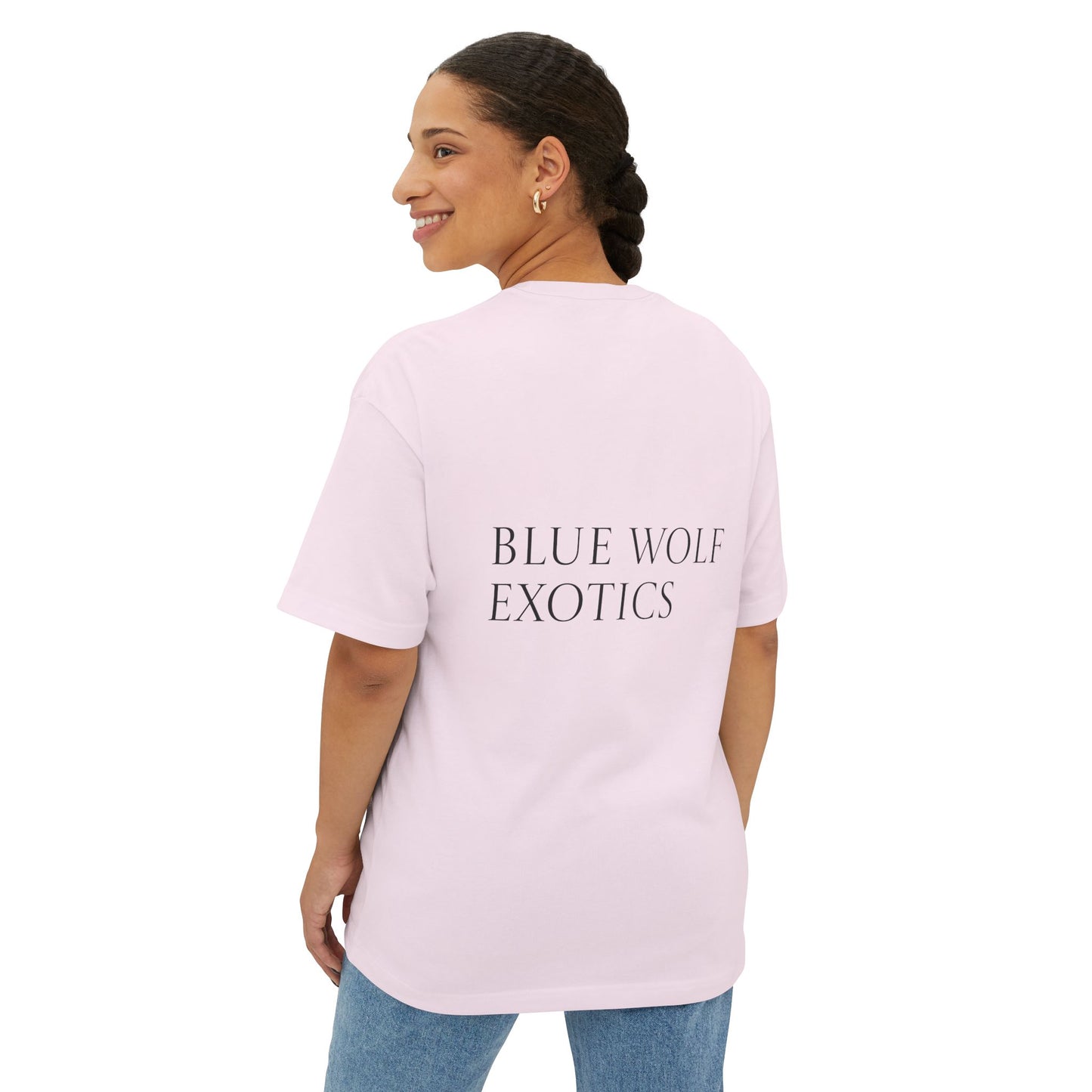Sparky's Adventures Light Colors Unisex Oversized Boxy Tee