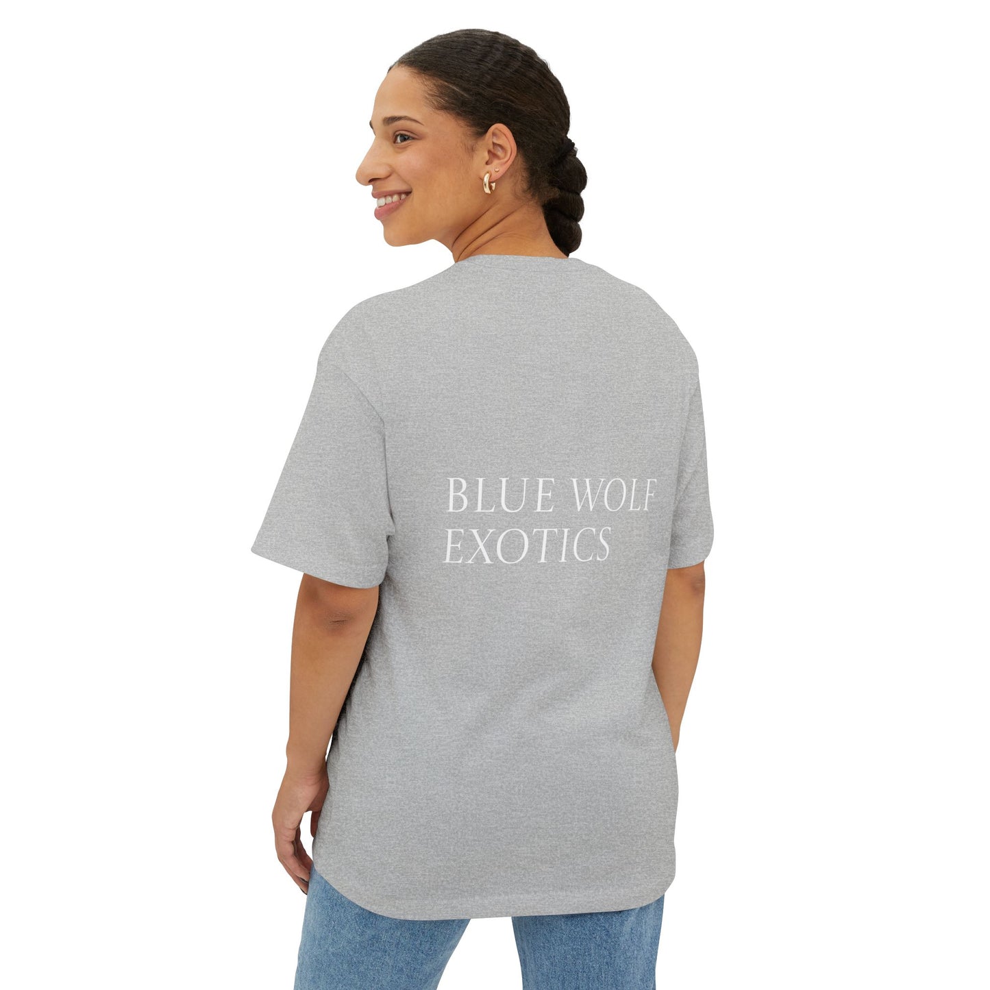 Sparky's Adventures Dark Colors Unisex Oversized Boxy Tee