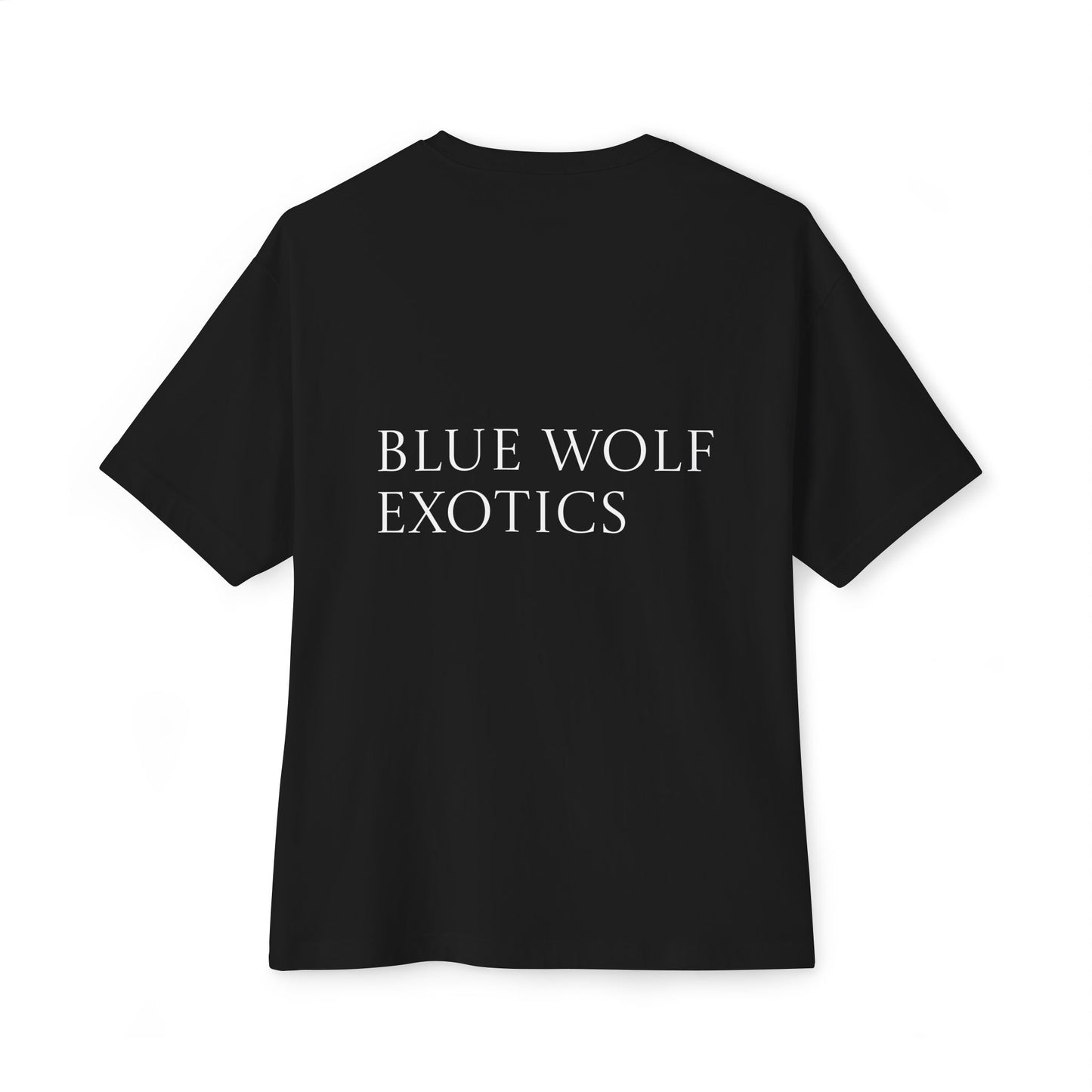 Sparky's Adventures Dark Colors Unisex Oversized Boxy Tee
