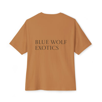 Sparky's Adventures Light Colors Unisex Oversized Boxy Tee